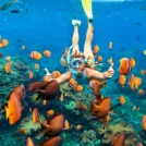 Mayan-Snorkel-Paradise-Tulum