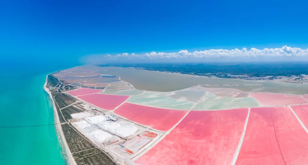 RíoLagartos-Portada