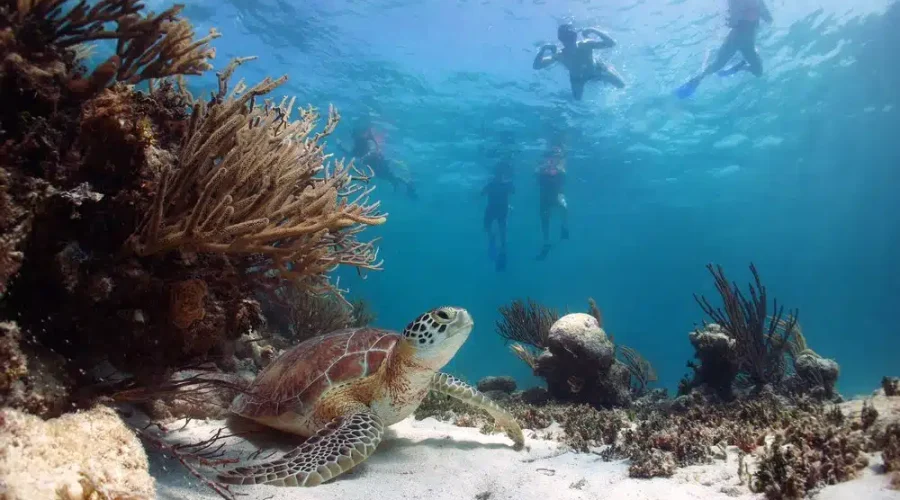 akumal Paradise Tulum 5