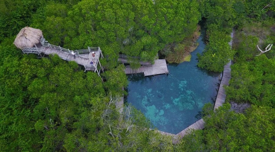 cenote-yalahau
